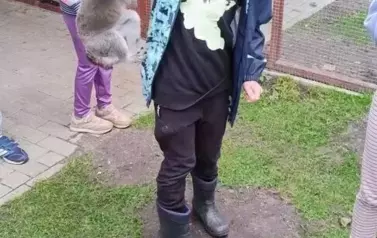 Wiwiecko 4