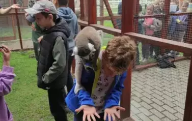 Wiwiecko 5