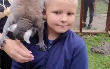 Wiwiecko 6