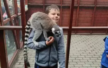 Wiwiecko 7