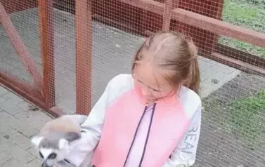 Wiwiecko 8