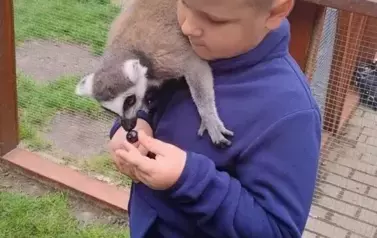 Wiwiecko 14