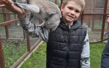 Wiwiecko 23