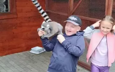 Wiwiecko 25