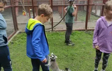 Wiwiecko 28