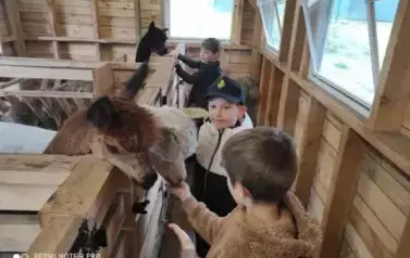 Wiwiecko 36