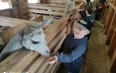 Wiwiecko 63