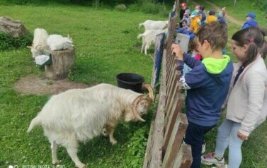 Galeria aktualności Juchowo Farm 76 2