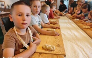 Galeria aktualności Juchowo Farm 76 7