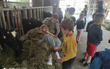 Galeria aktualności Juchowo Farm 76 9