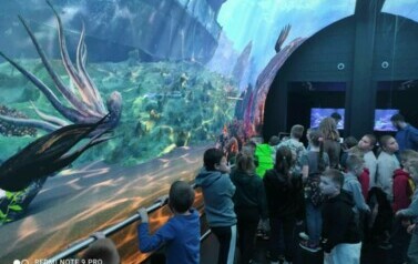 Galeria aktualności Wycieczka klas I-VII do Szczecina 24