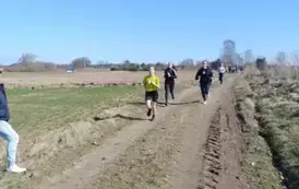 Galeria aktualności Drużynowe Biegi Przełajowe 4
