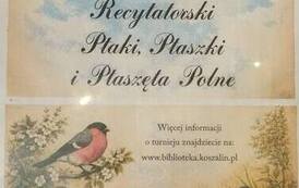 Galeria aktualności Ptaki, ptaszki polne 28