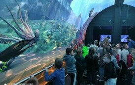 Galeria aktualności Wycieczka klas I-VII do Szczecina 24
